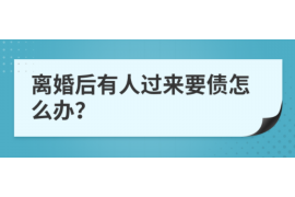 富拉尔基为什么选择专业追讨公司来处理您的债务纠纷？
